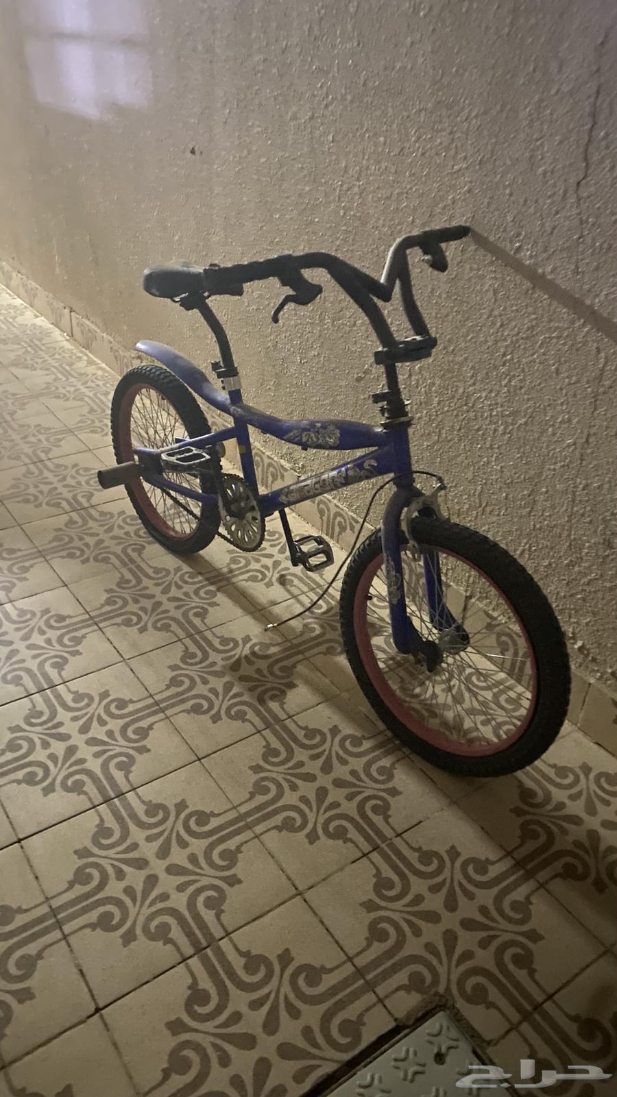 سياكل ل البيع64561967578499110