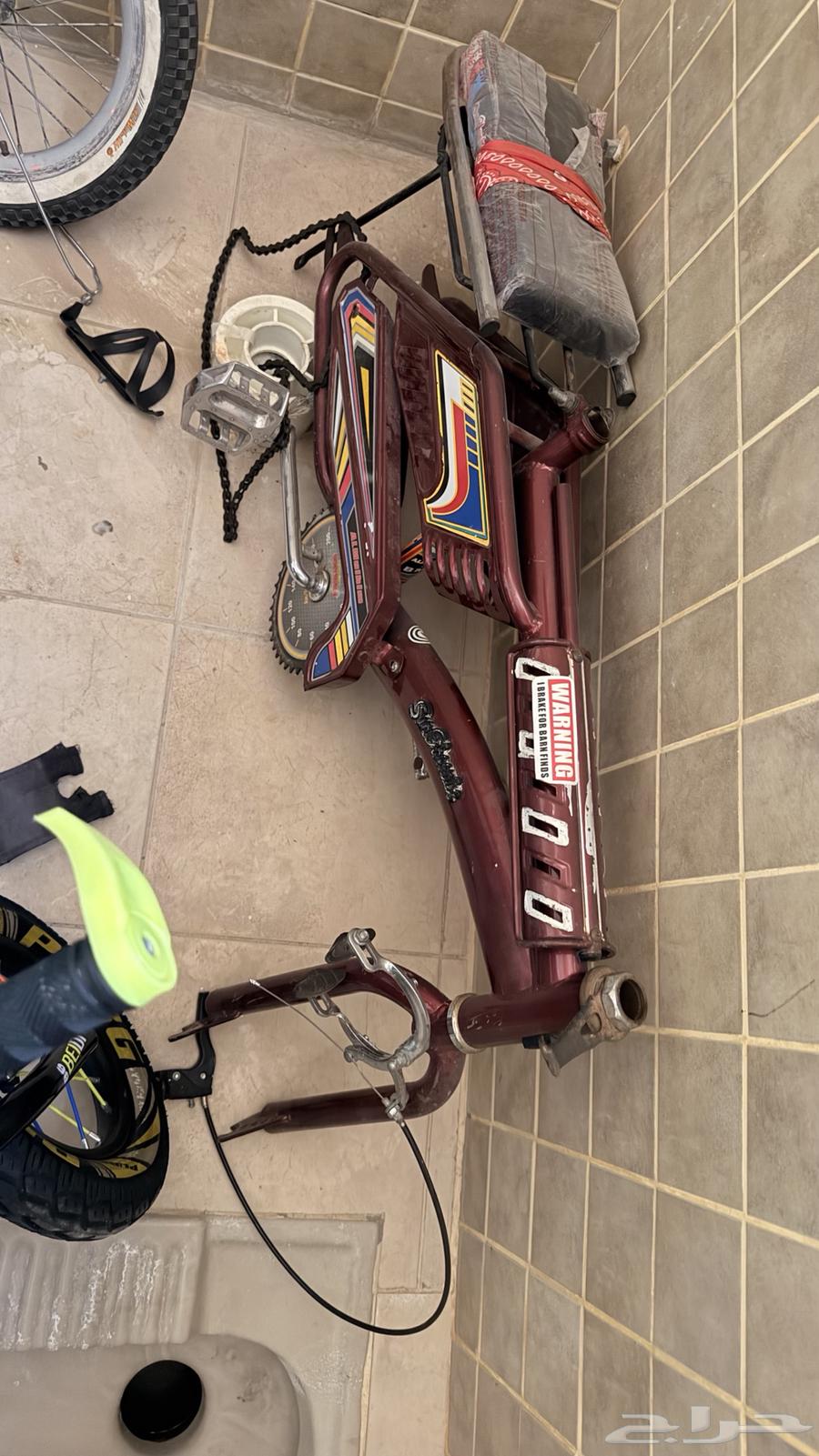 سيكل عنابي بدي64557140981251110