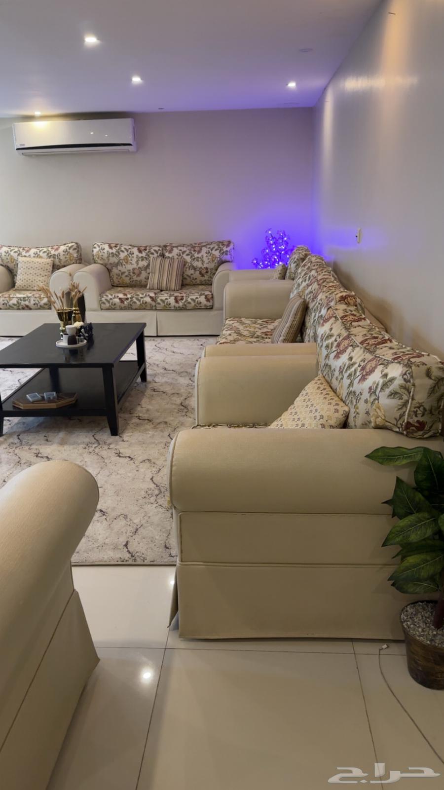 Sofas64554579445505111