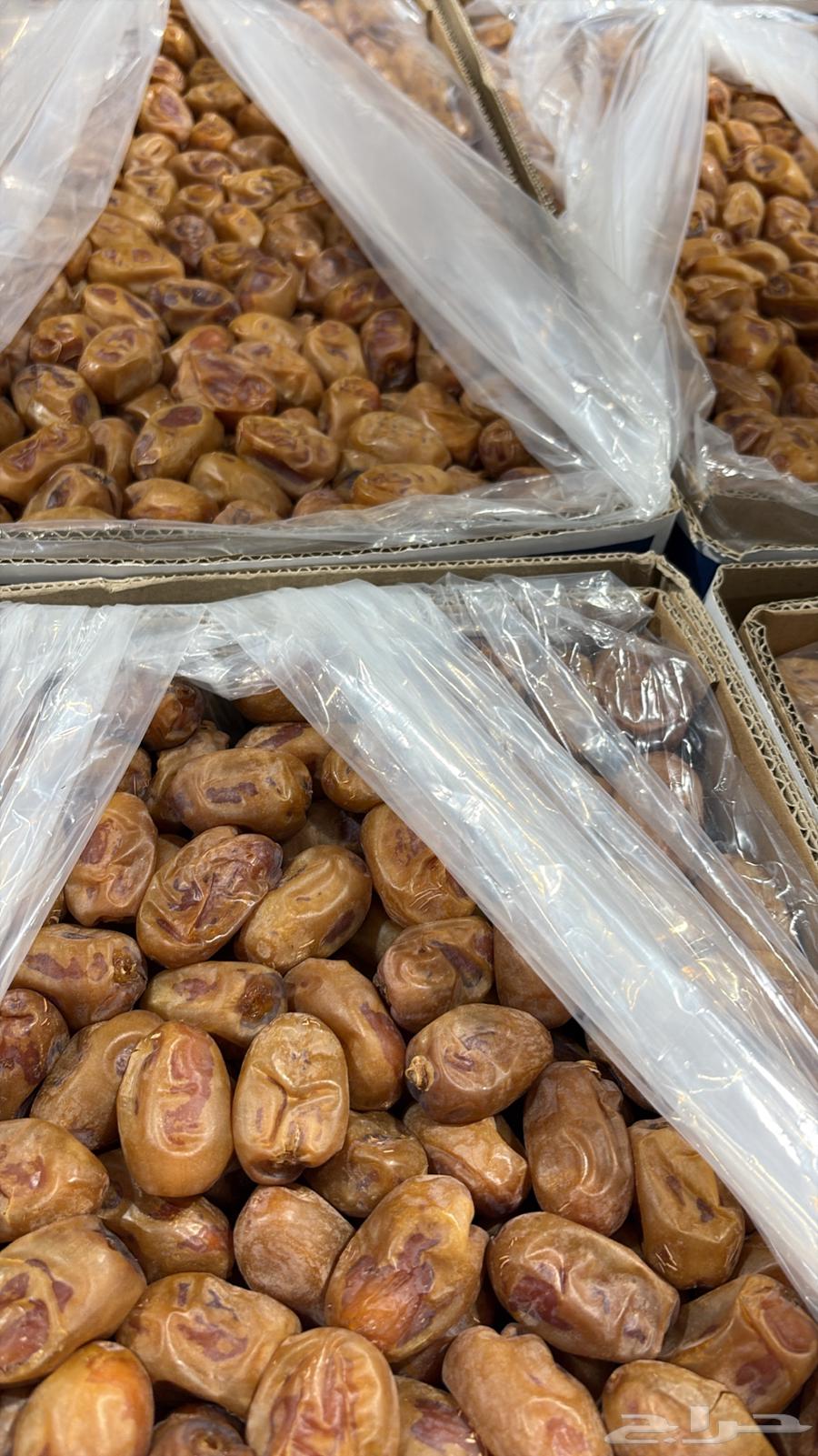 Khalas Nisah Good Quality Dates64556734969731112