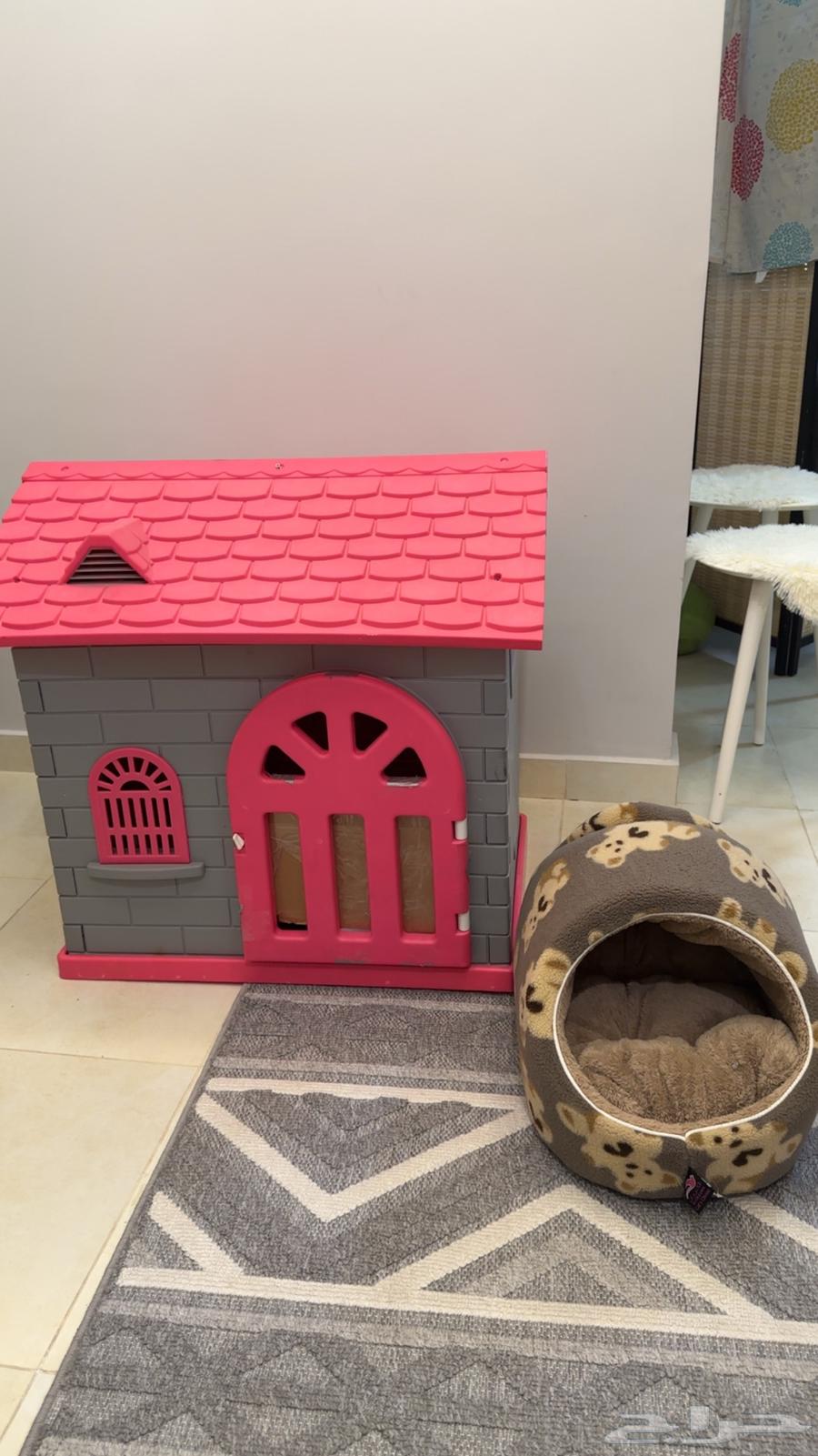 بيت قطه على شكل كوخ64561043537025111