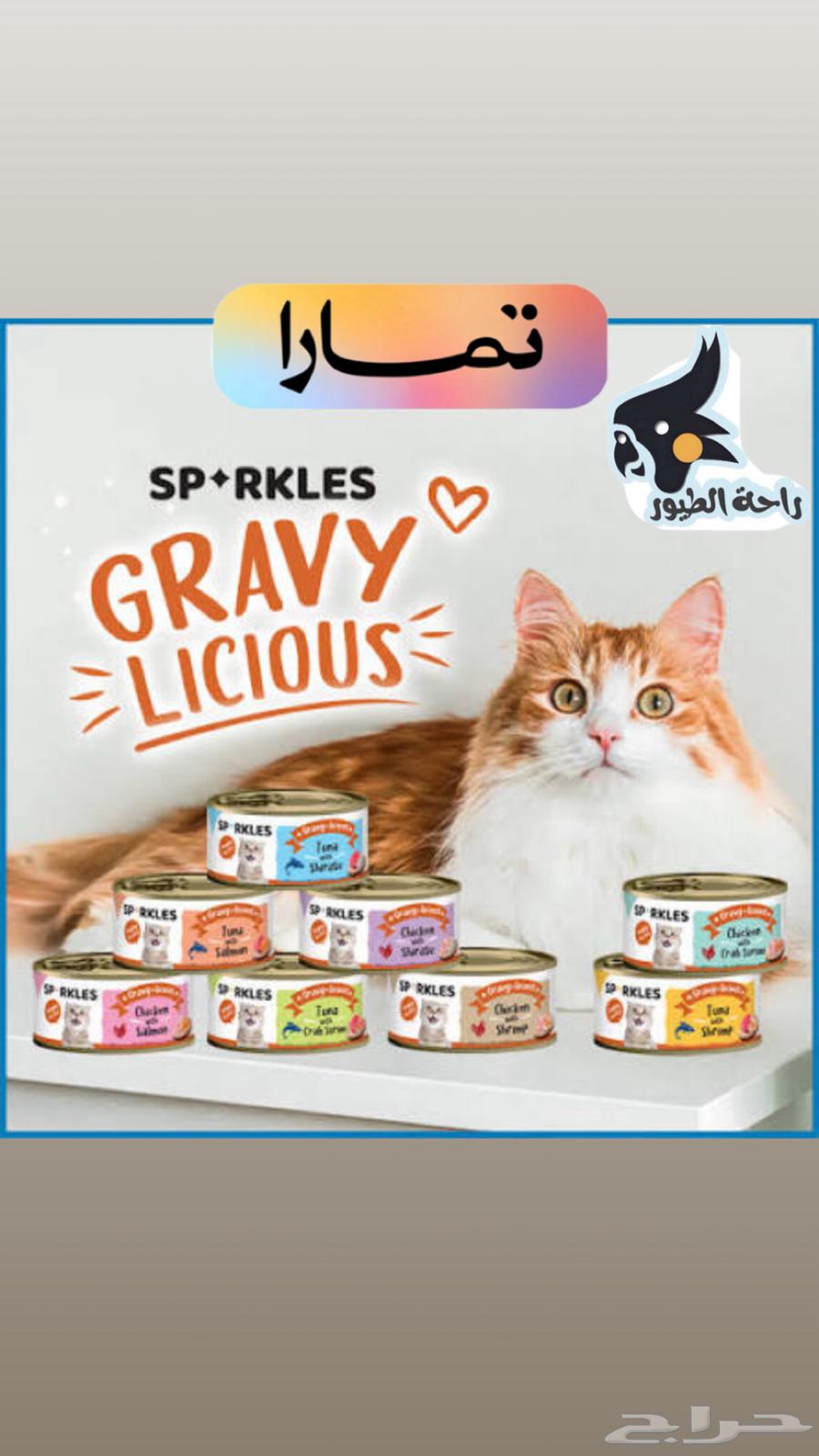 متوفر جميع الأصناف 8 الاكل الرطب 80 جرام64553964022273110