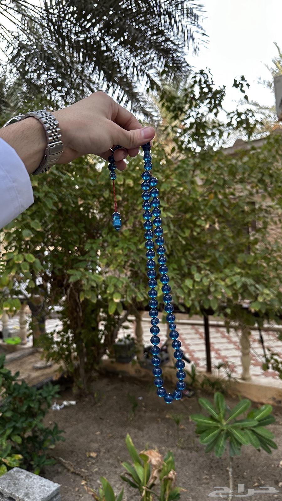 بكلايت أمريكي شفاف ( شبيه الكاست )64555222040835111