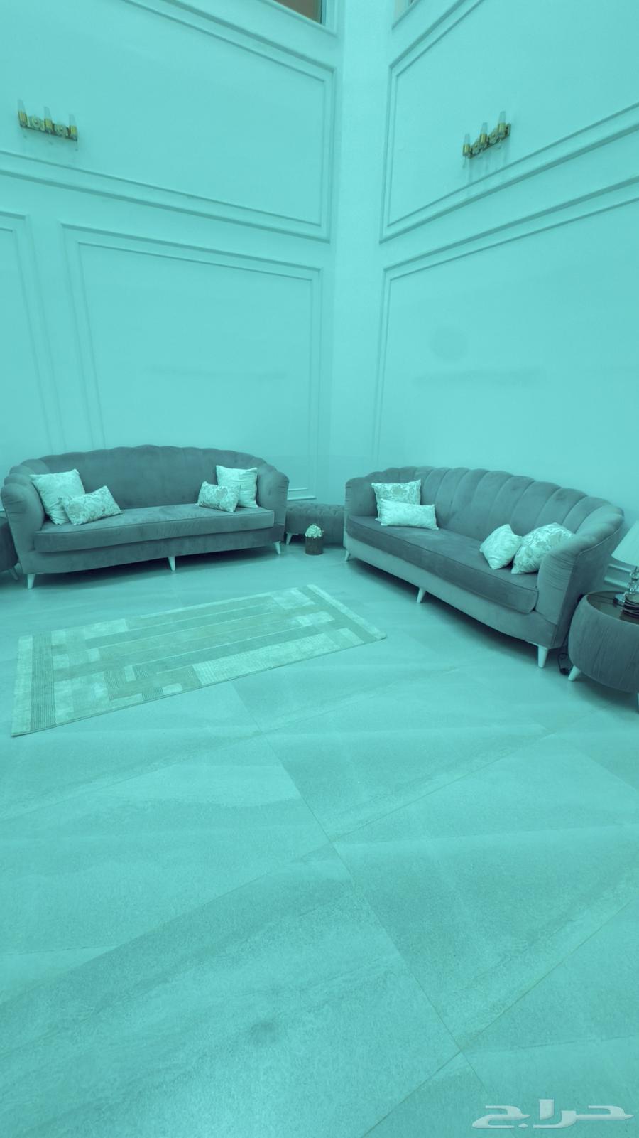 Two-piece four-seat sofa, couch, two tables, one footrest, accessories64555942334083110