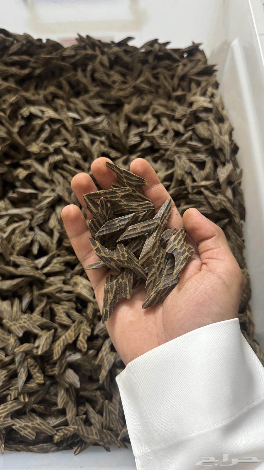 عود فتنامي فاخر64560304818818112