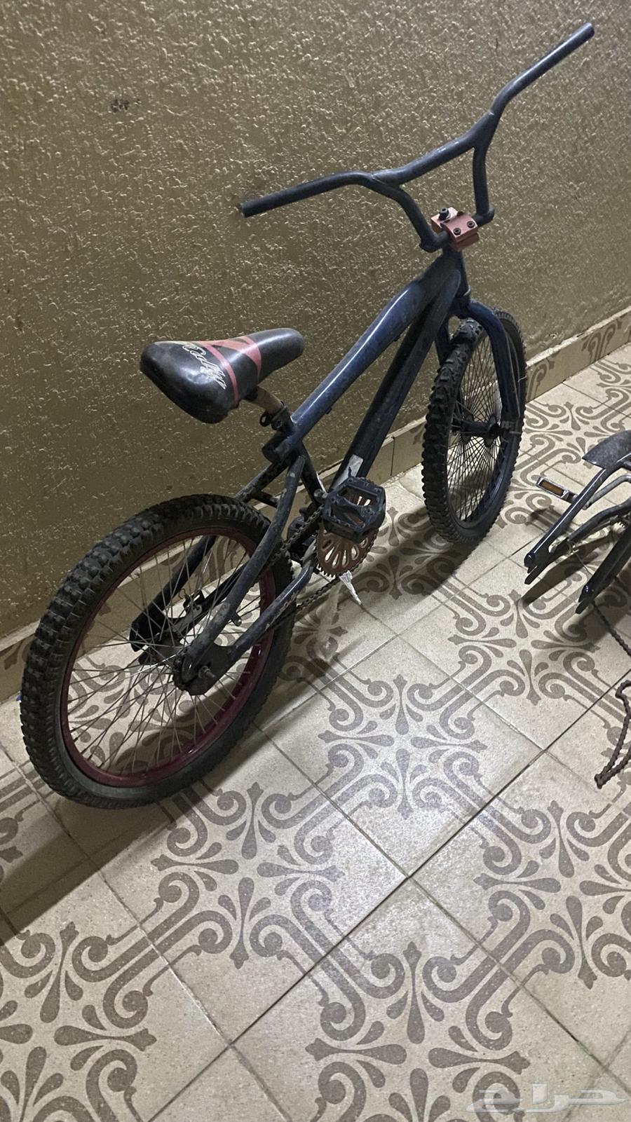 سياكل ل البيع64561967578499111