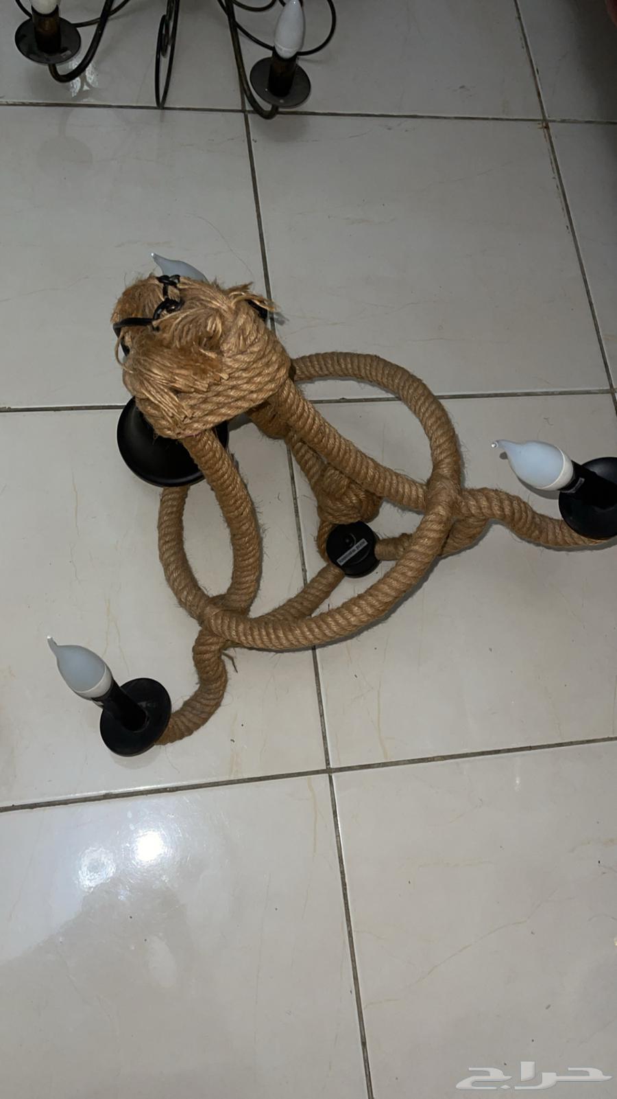 Punching bag, gloves, lights, and clean espresso coffee machine64555096060417113