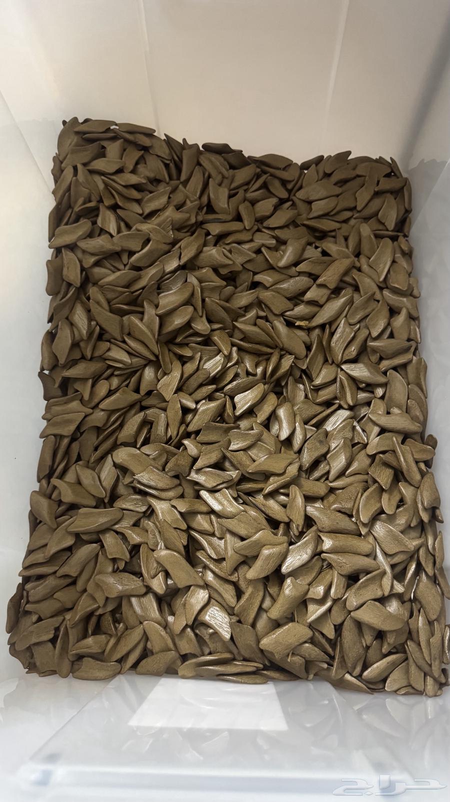 عود فتنامي فاخر64560304818818110