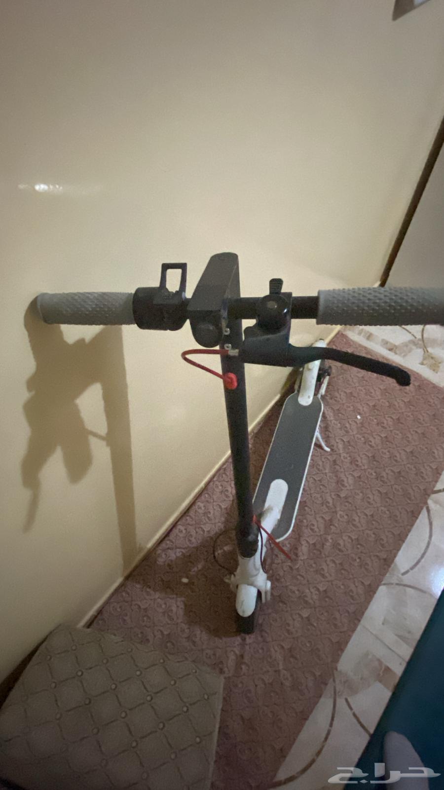 Scooter64561221924738110