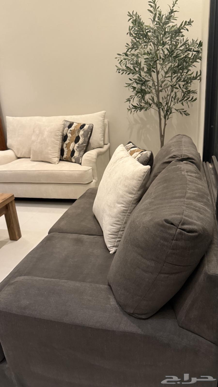 كنب امريكي اشلي64557326039427114