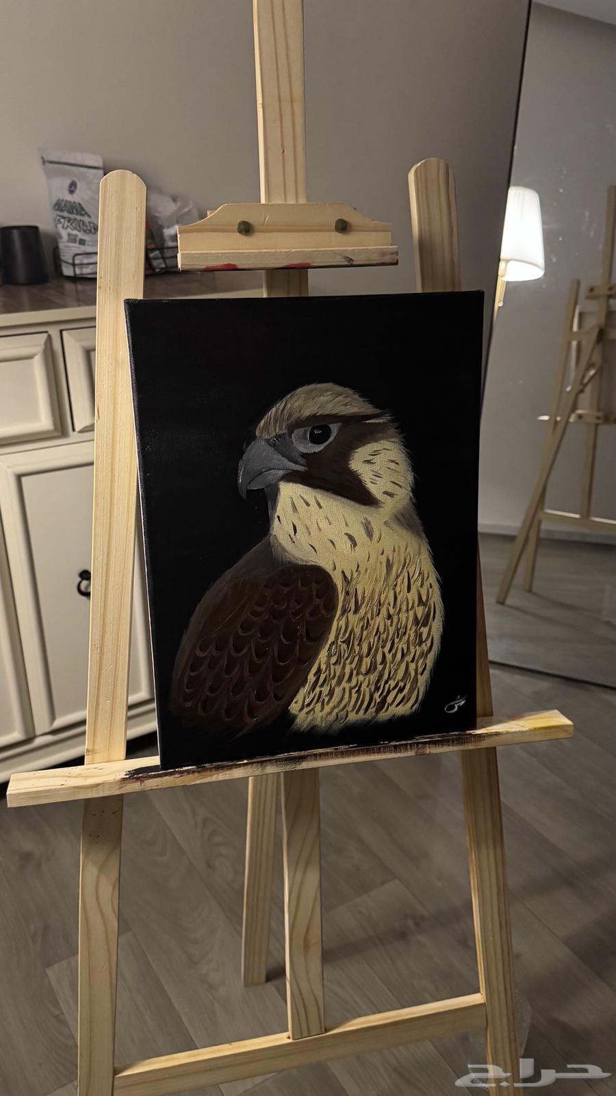 Hawk Board64560572562305110