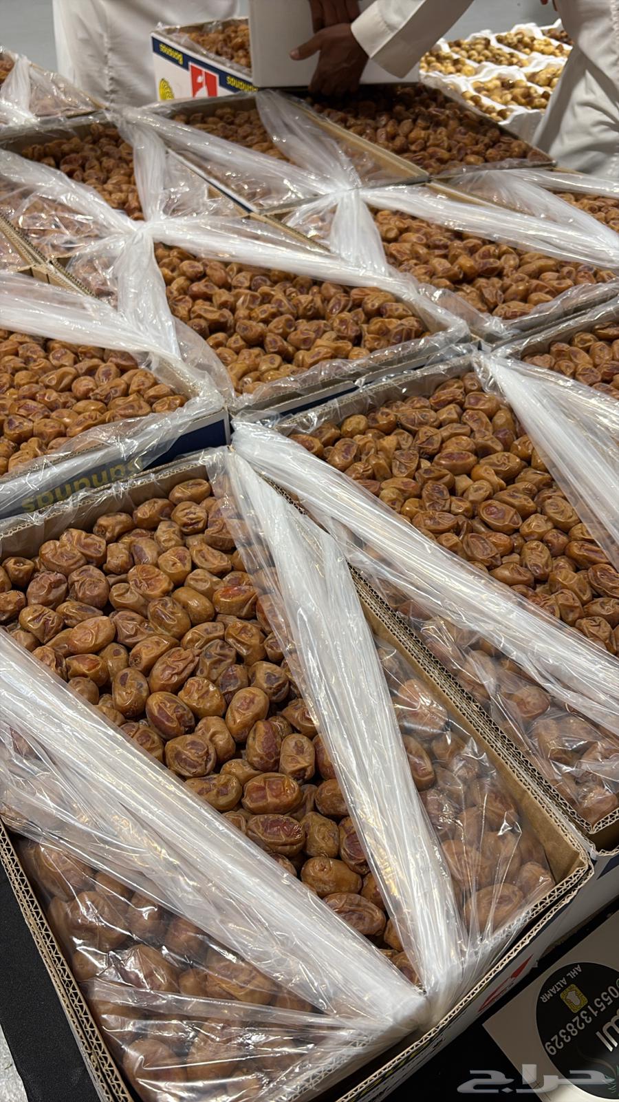 Khalas Nisah Good Quality Dates64556734969731111