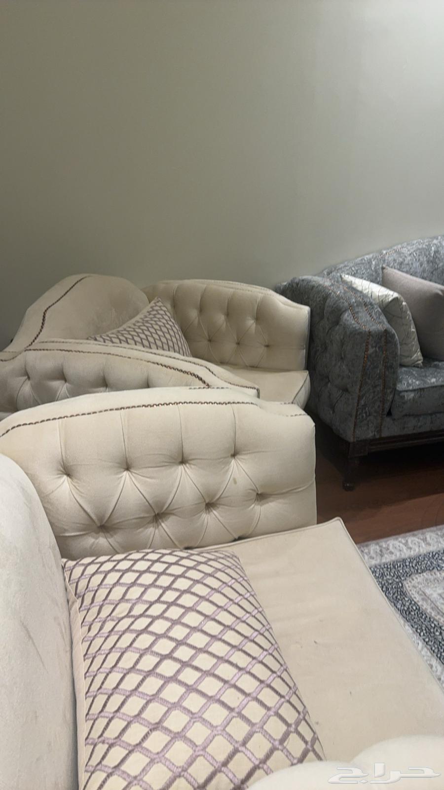 كنب جديد64553398352642114