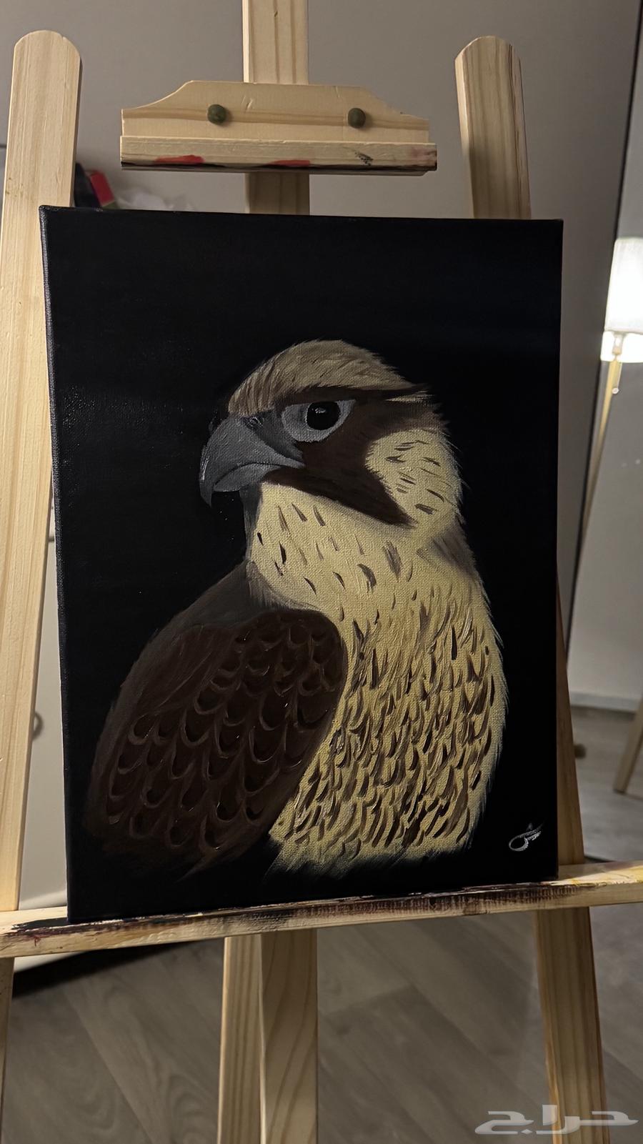 Hawk Board64560572562305111