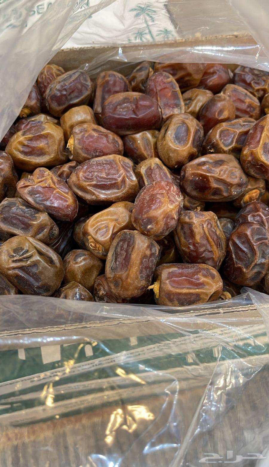 تمر المدينه المنورة64559799468034113