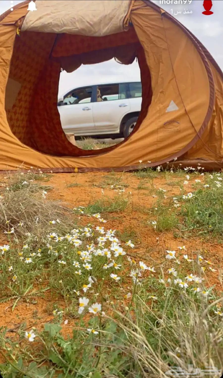 خيمة الشقردية وارد القاضي 3 364560136651395113