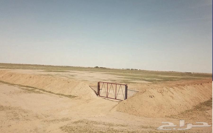 مزرعة للبيع