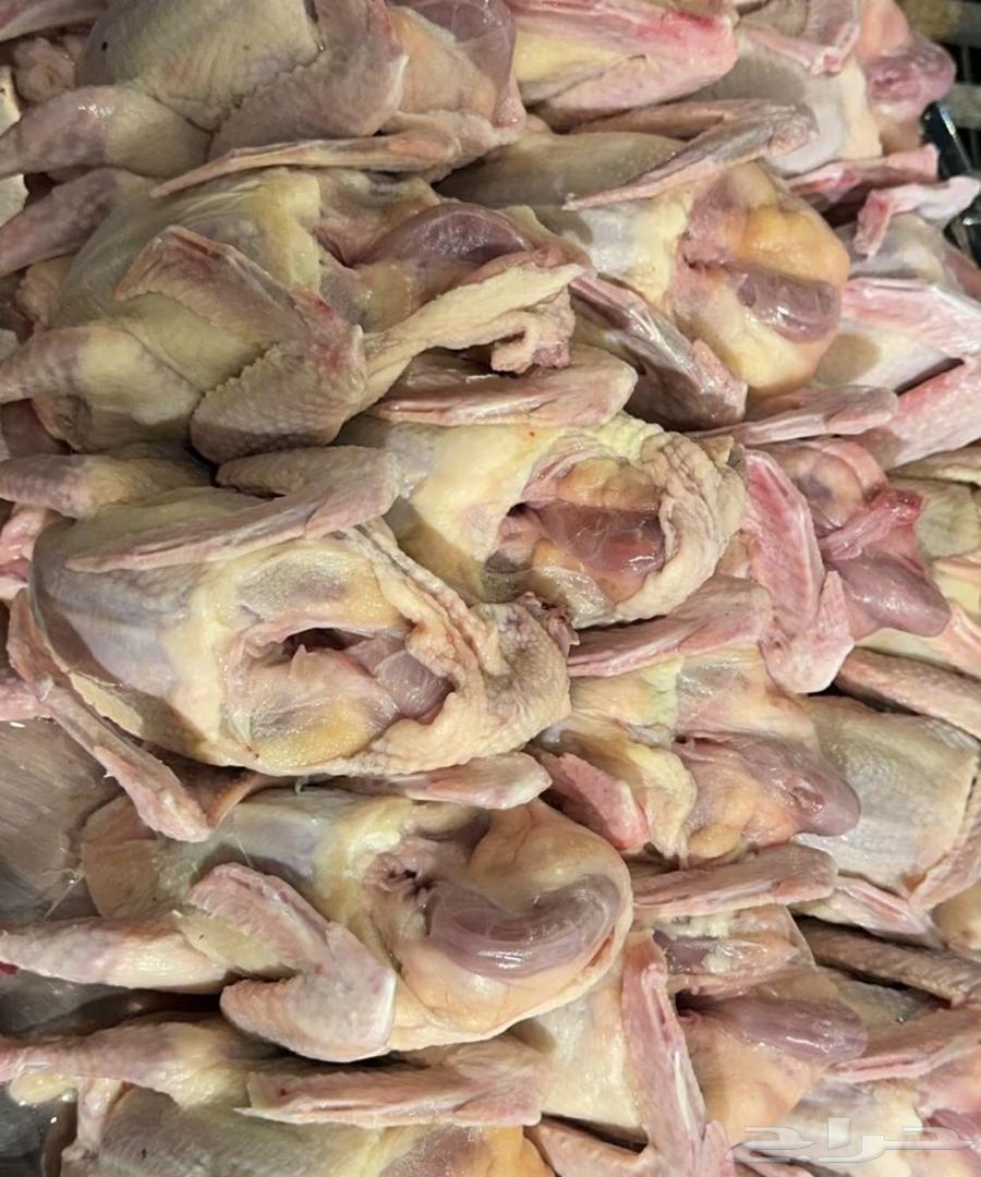 زغاليل حمام فرنسي جامبو64558752753667110