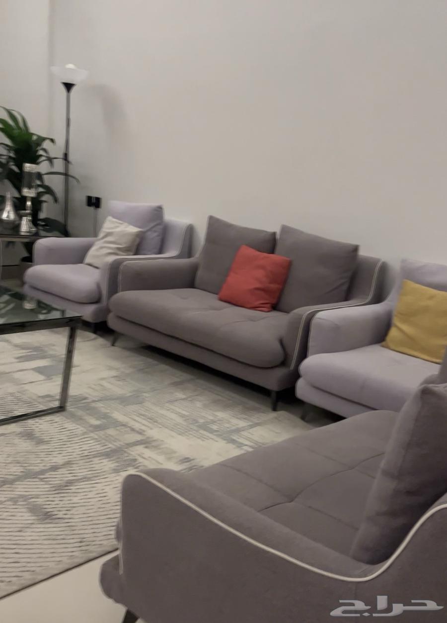 New sofa64553963901187111