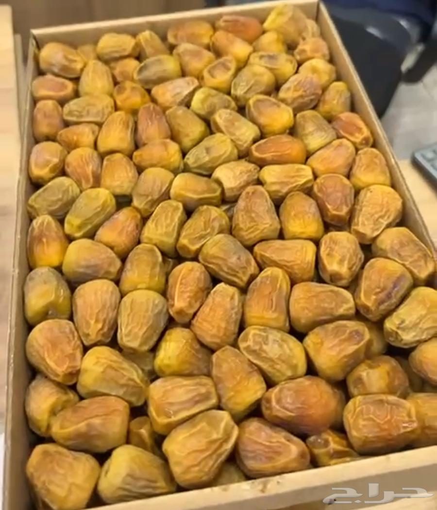 Qassim Dates and Mafatool64554272950531110