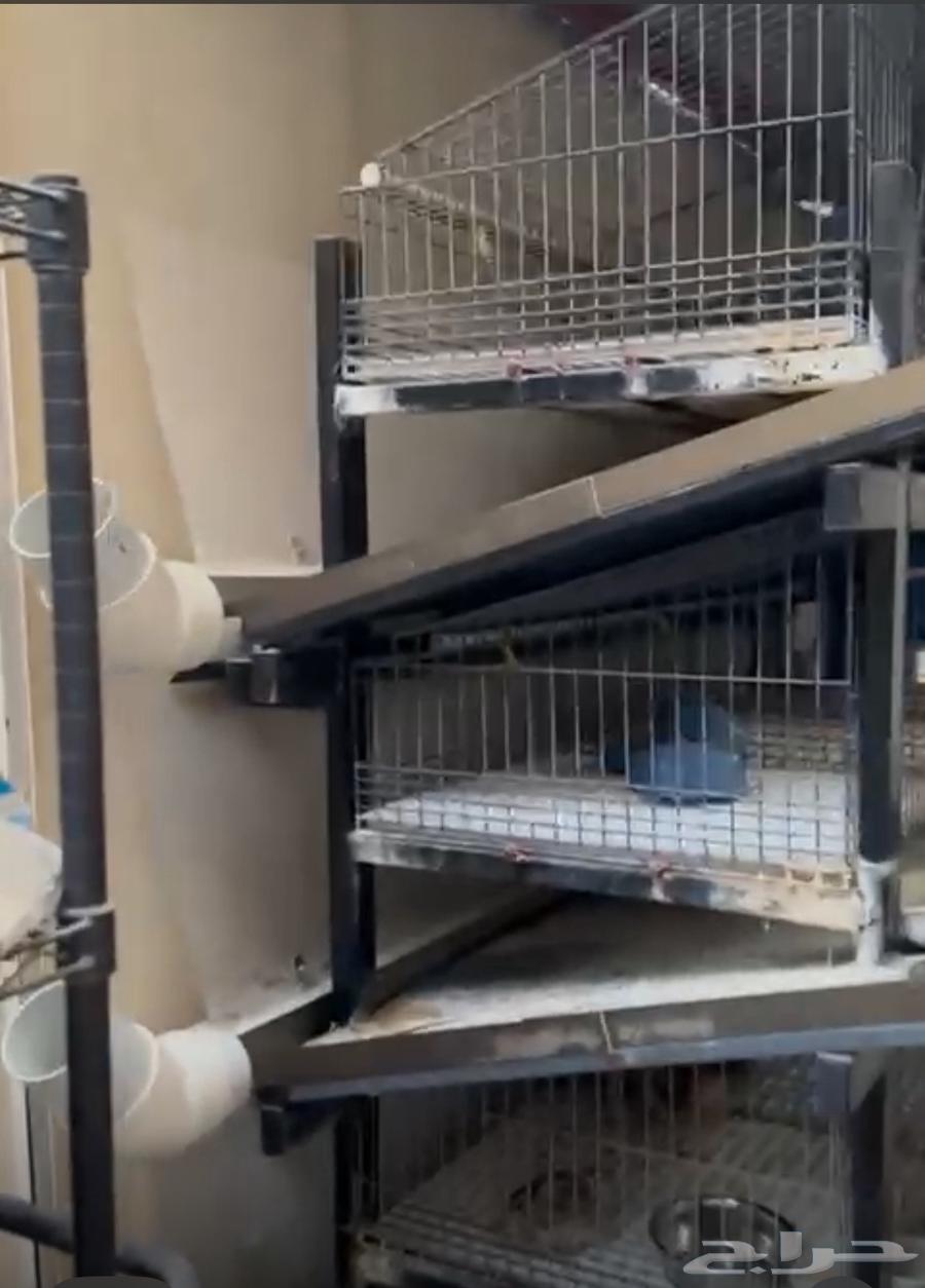 بيت حيوانات أليفة قفص أرانب64559604019842110