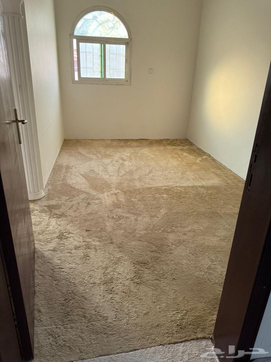 السجاد والبسط64553865314435111