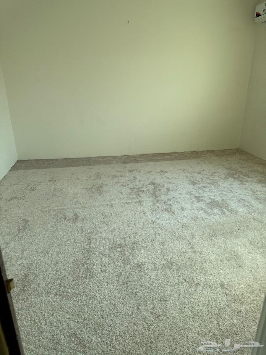 السجاد والبسط64553865314435112