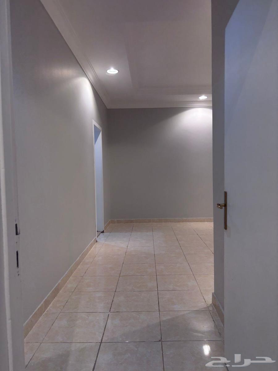 شقة للإيجار