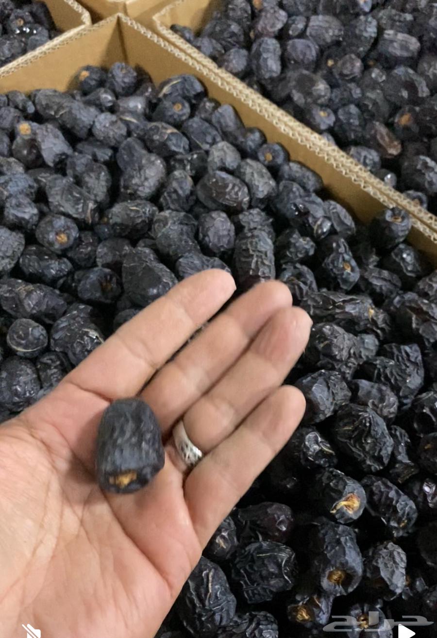 تمر عجوه للبيع64561488749442110