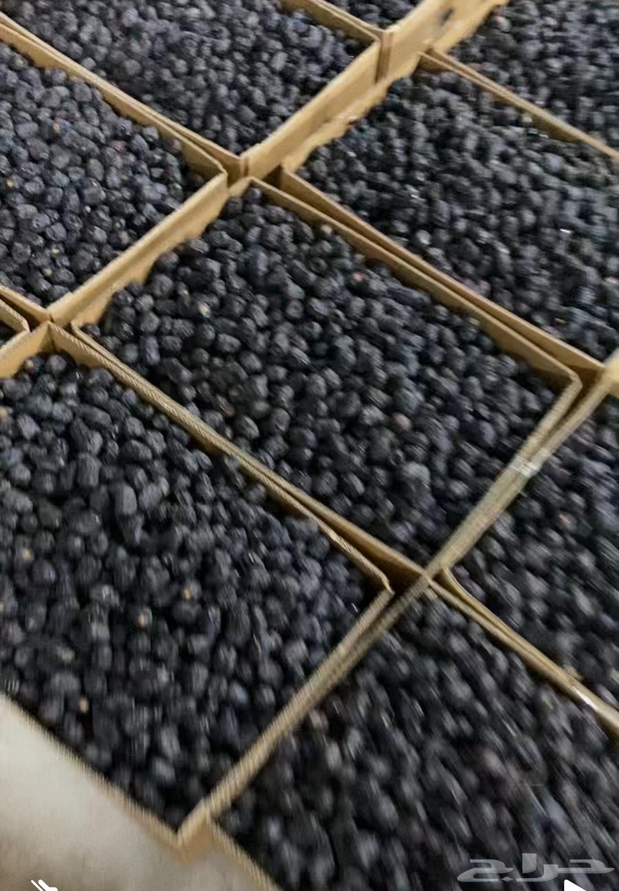 تمر عجوه للبيع64561488749442111