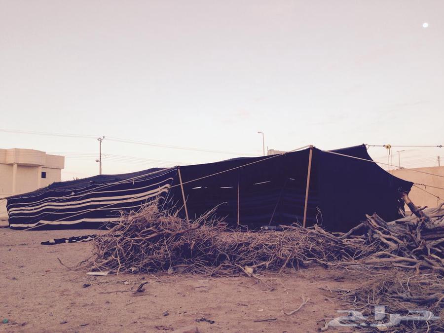 بيت شعر مثولث كامل شبه جديد64556805648001110