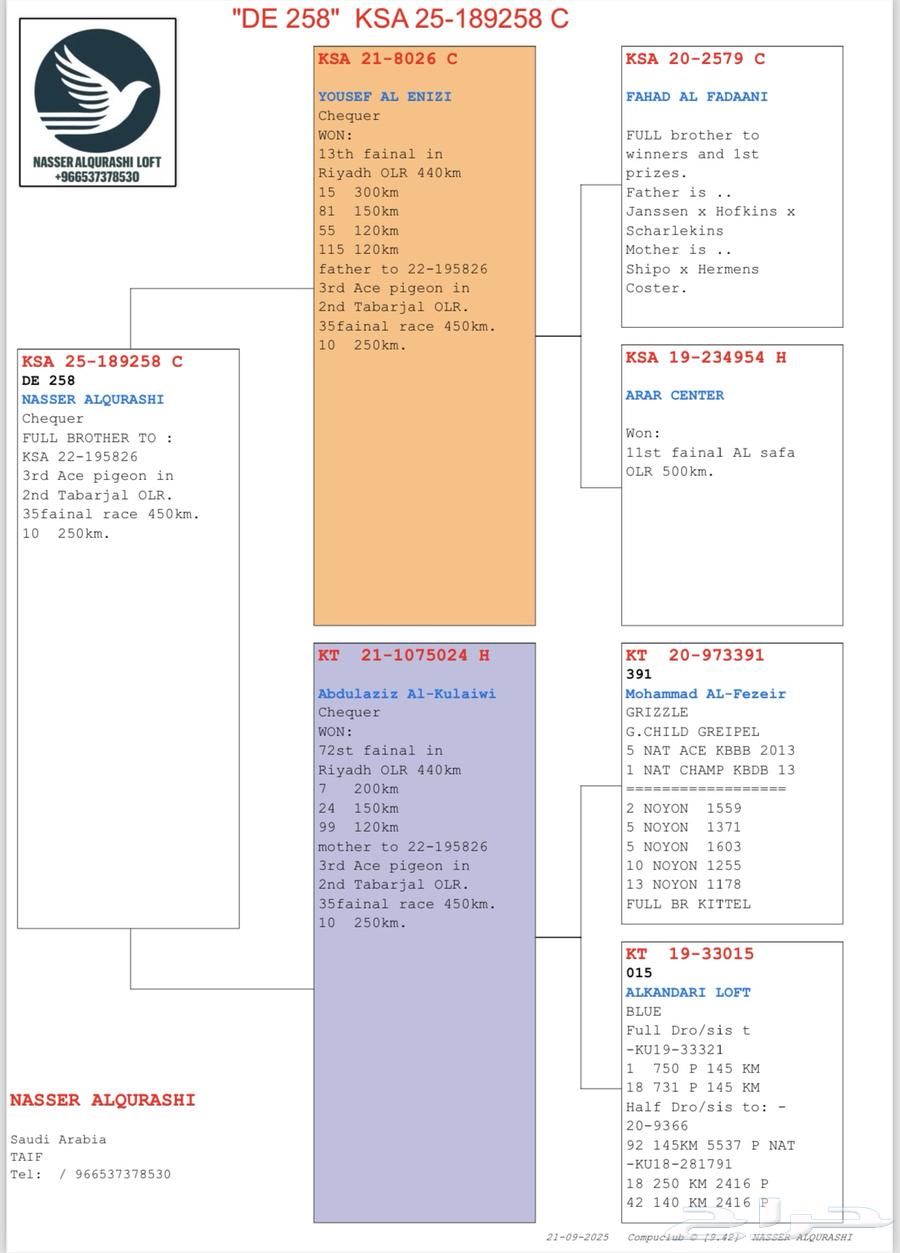 فحل زاجل اخ مباشر لثالث حجل ذهبي نقطة الأبطال 2022064554914461570112