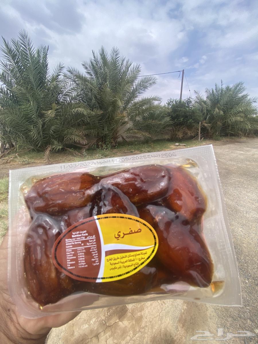 Free shipping to all regions of the Kingdom for large Zahri dates64562375591041113