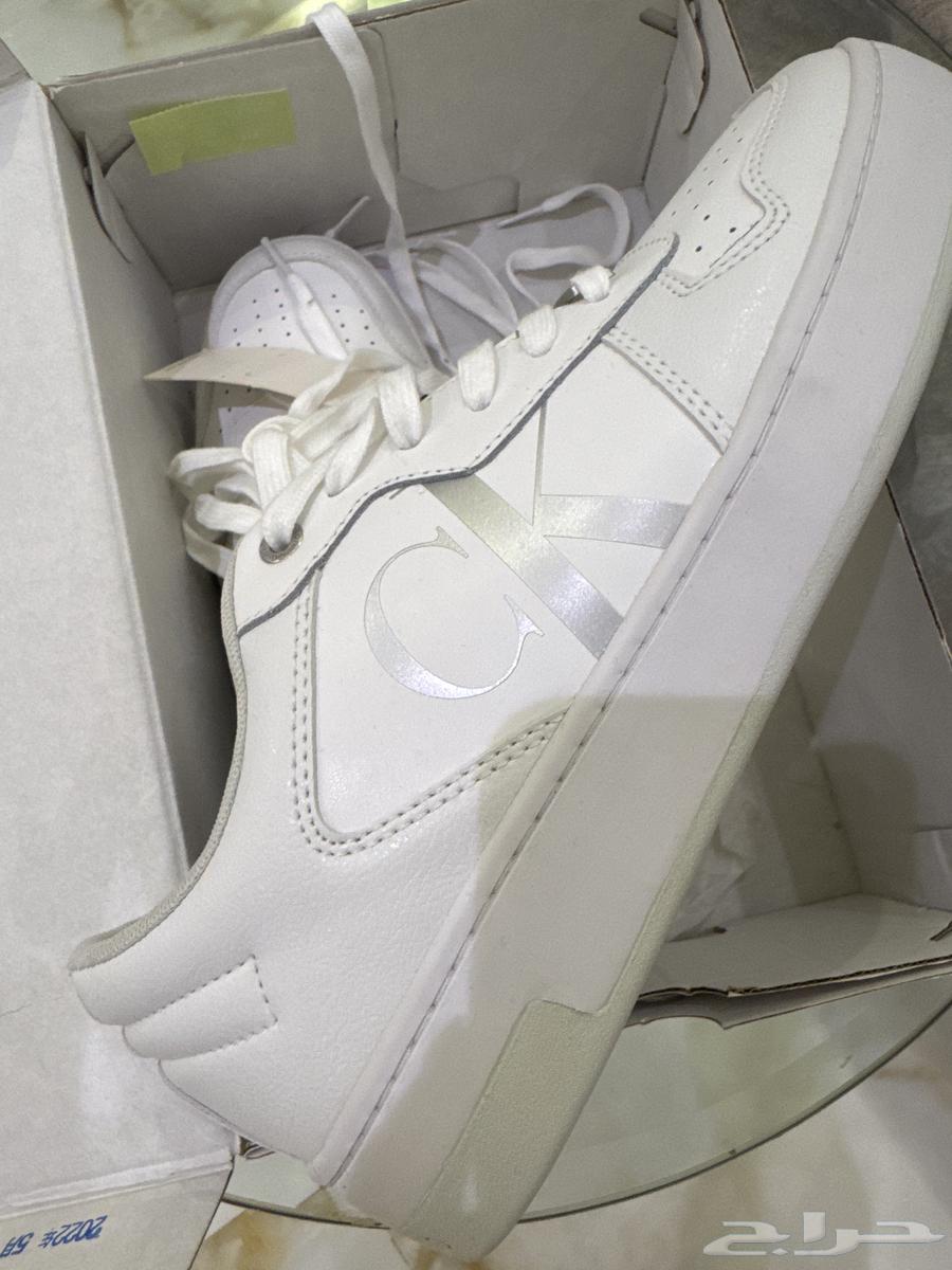 شوز كالفن كلاين مقاس 4164561811618178113