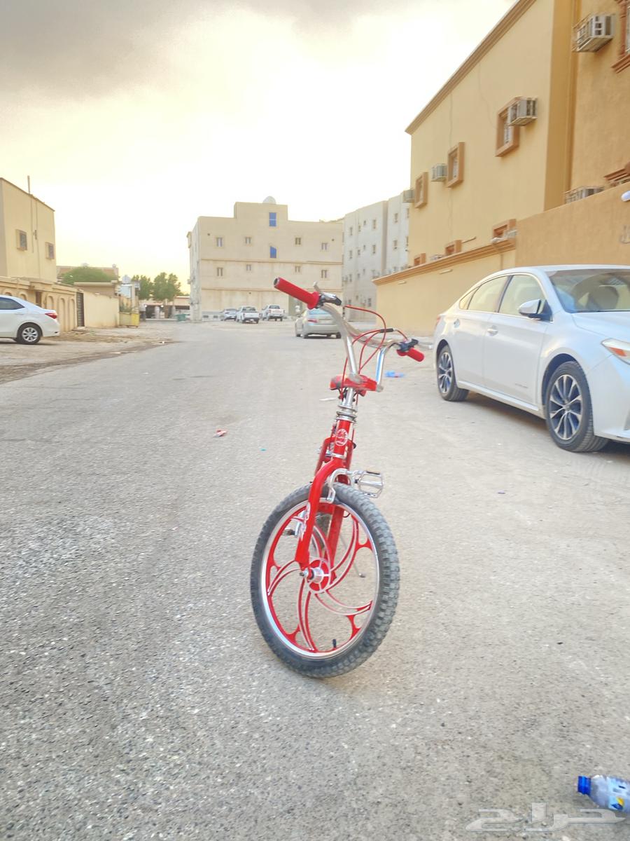 سيكل كوبرا مقاس 20 شركه رالي64559281116931112