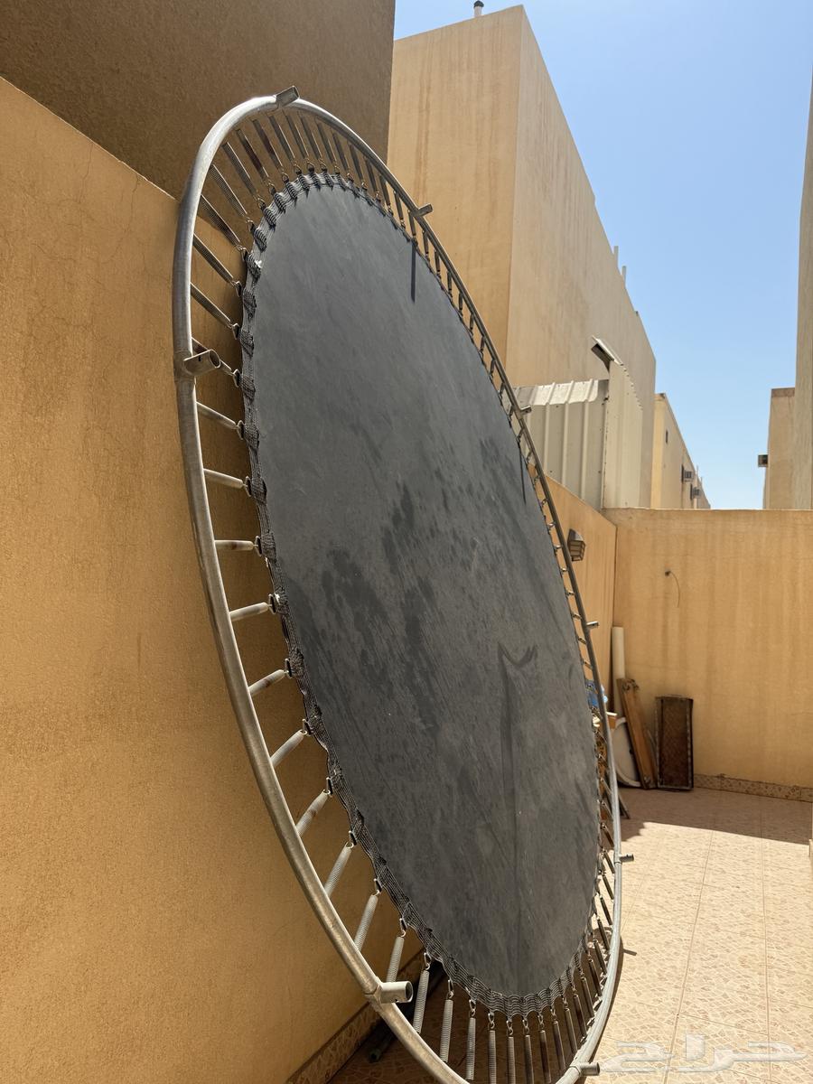 Nateeta64561404056833110