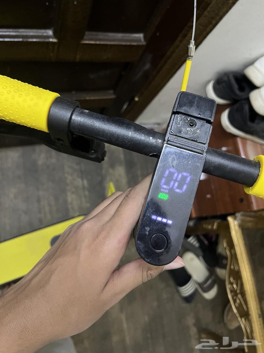 Working standing scooter64555054243201113