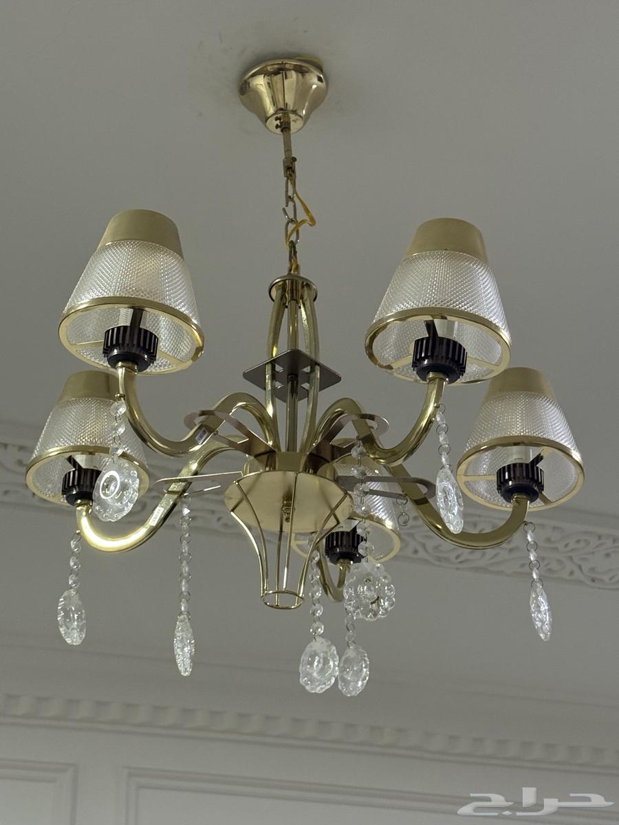 نجف للبيع64559365743489110