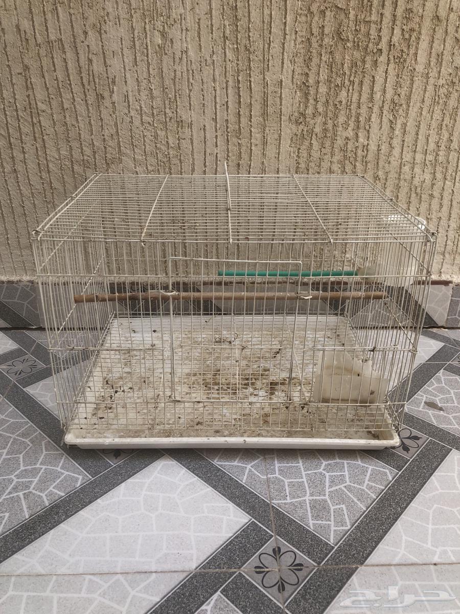 3 Cages64556945195138113