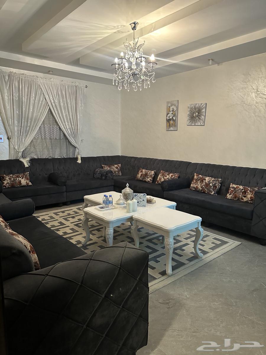 كنب ازرق البيع64558878245889110