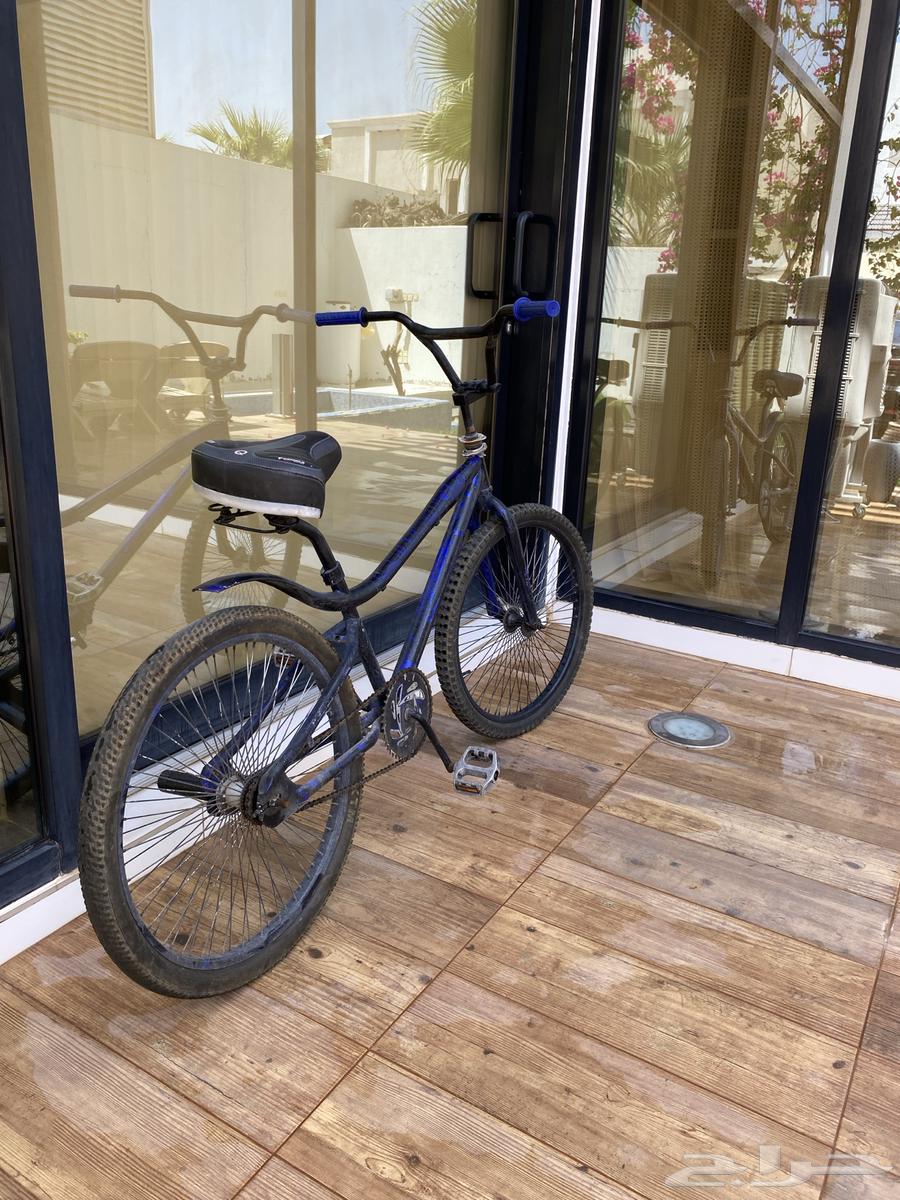 Cobra bicycle size 2864559911460097112