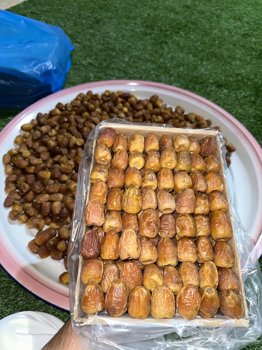 First-grade Sukkari Mutfal with other varieties of dates available64495556336129111