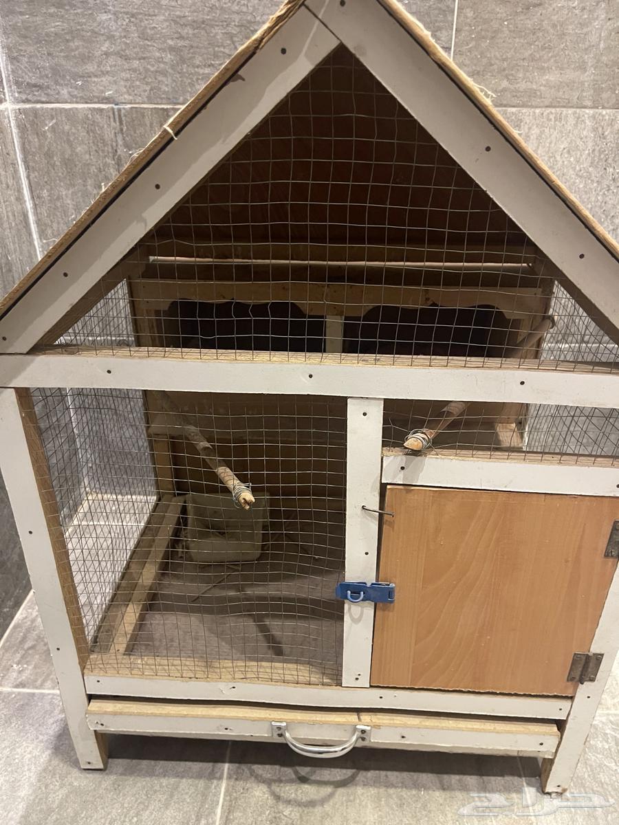 قفص طيور64557154663171110