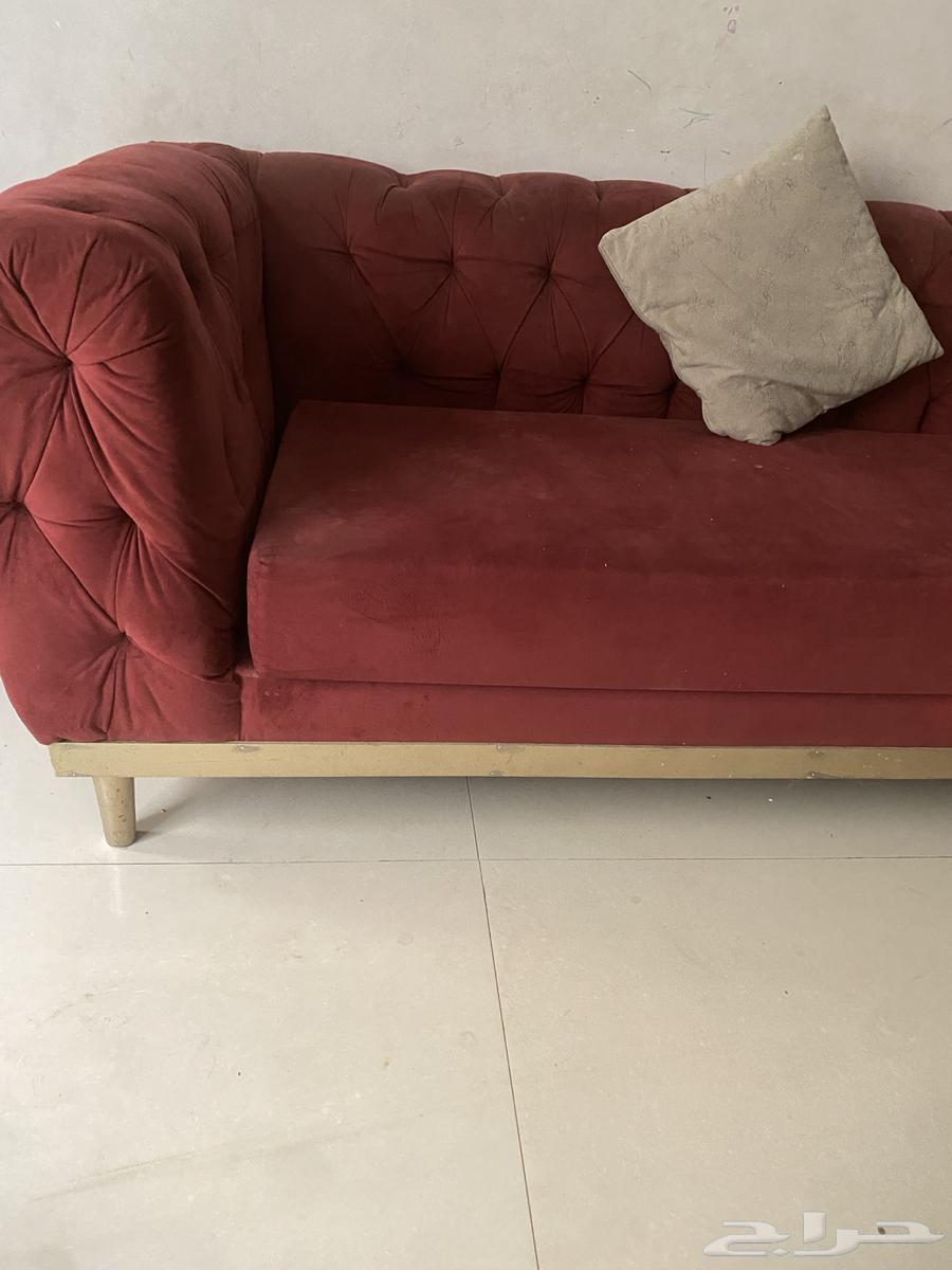 10-meter connected sofa with two cushions and carpet, like new, in excellent condition, Al-Hofuf Al-Khalidiyah64555786581761113