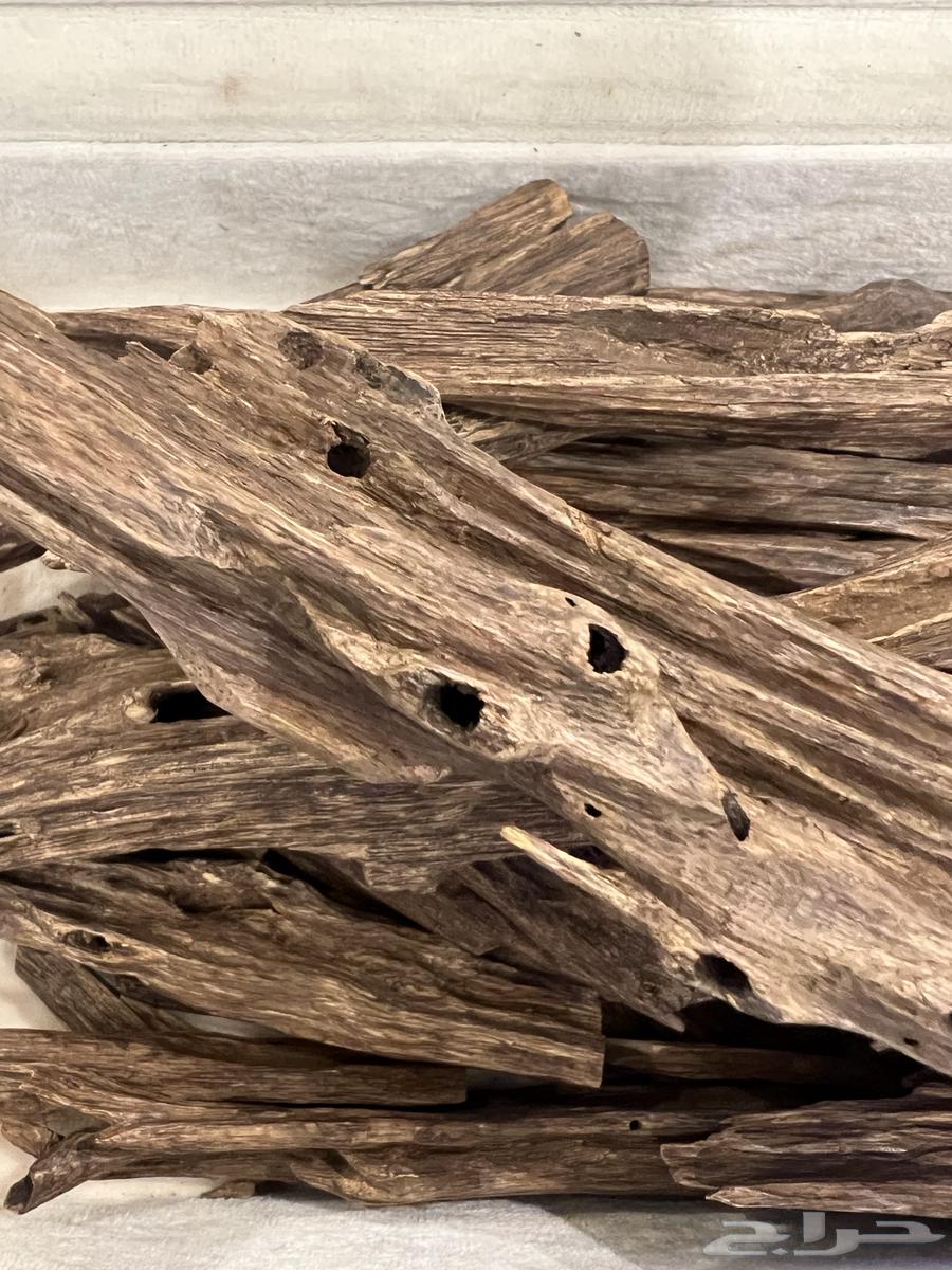 عود هندي نجلاند طبيعي64556734857474114