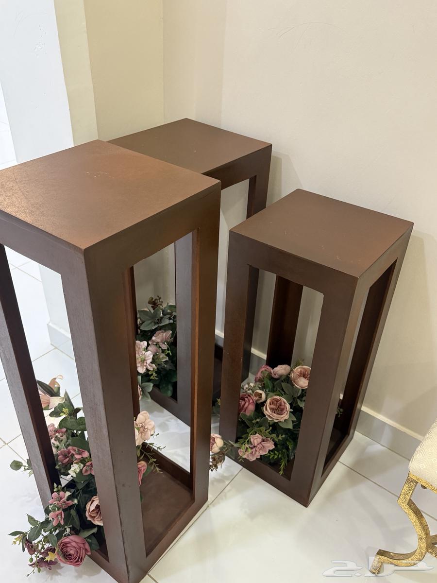 عربيه ملكه64559323569667110