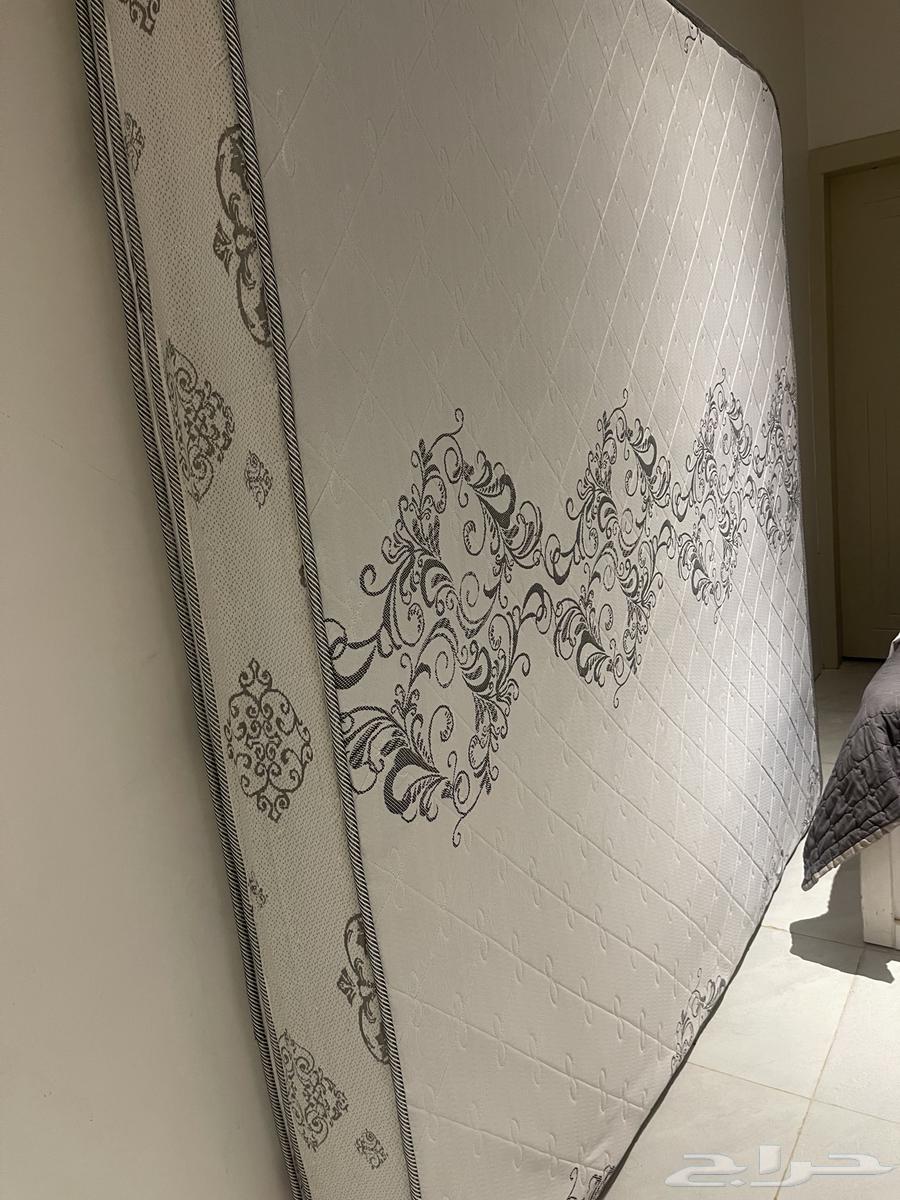 Sponge for sale, intact64560248681601112