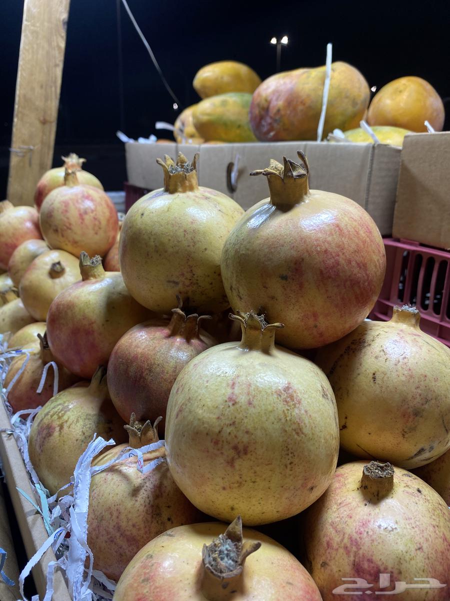 رمان طايفي ومنقاء جيزان64560544504705111