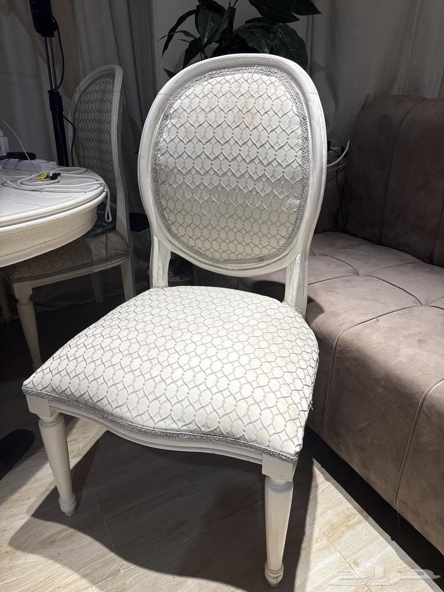 طاولة طعام 12 كرسي فخمه للبيع64514983478914111