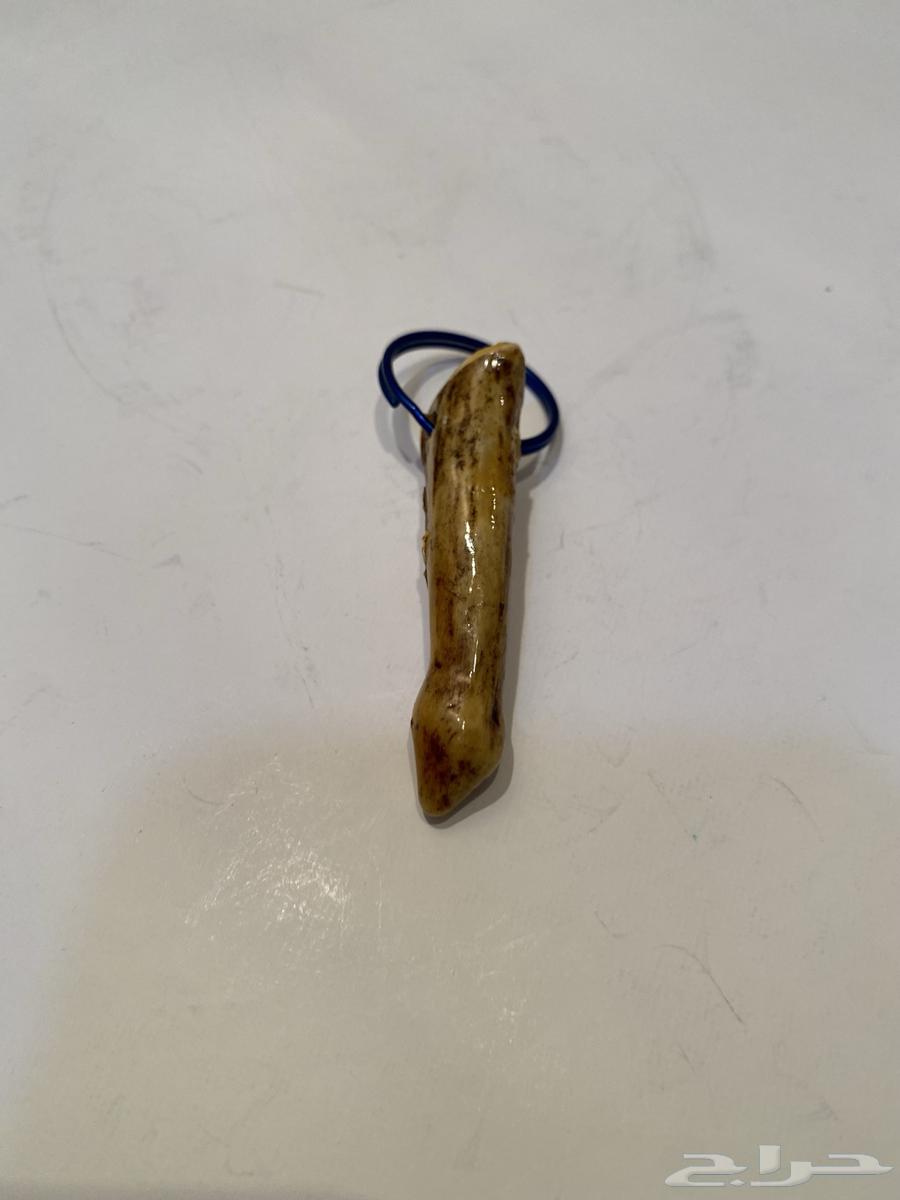 ميداليه قرن غزال امريكي اصليه تراث قديم للبيع64557015879555110